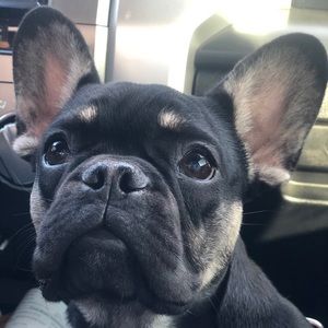 Meet your Posher, Karina